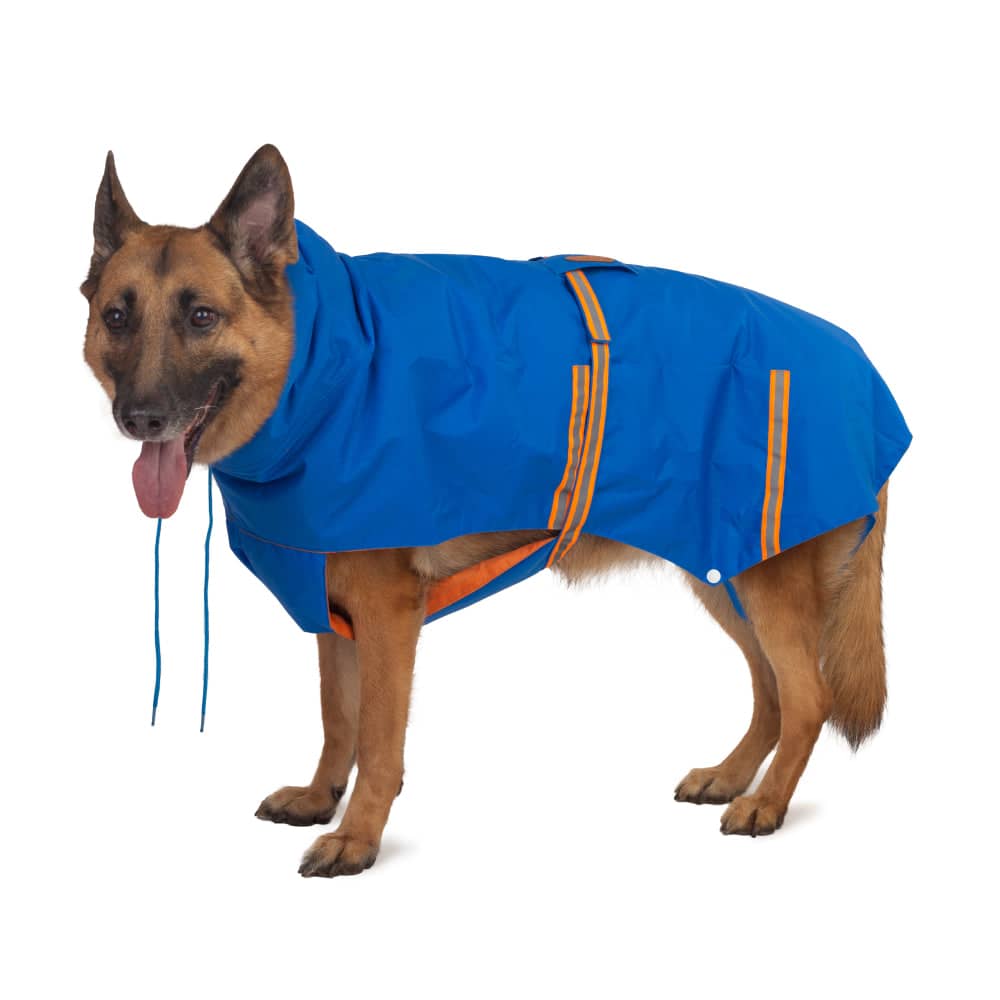 PetWale Reflective Raincoat for Dogs (Royal Blue) image 8