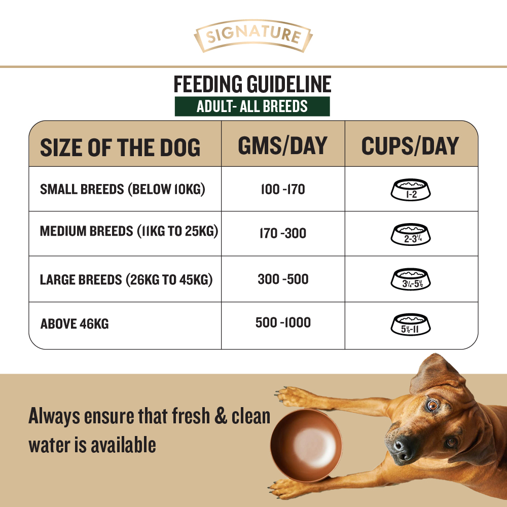 Signature Grain Zero Real Chicken, Egg and Vegetables Adult Dog Dry Food image 4