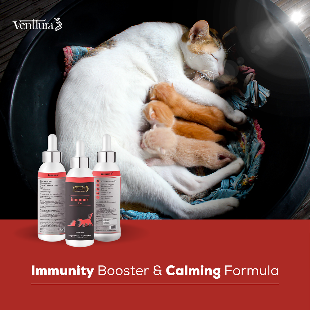 Venttura Immunity Booster & Calming Supplement for Cats image 7