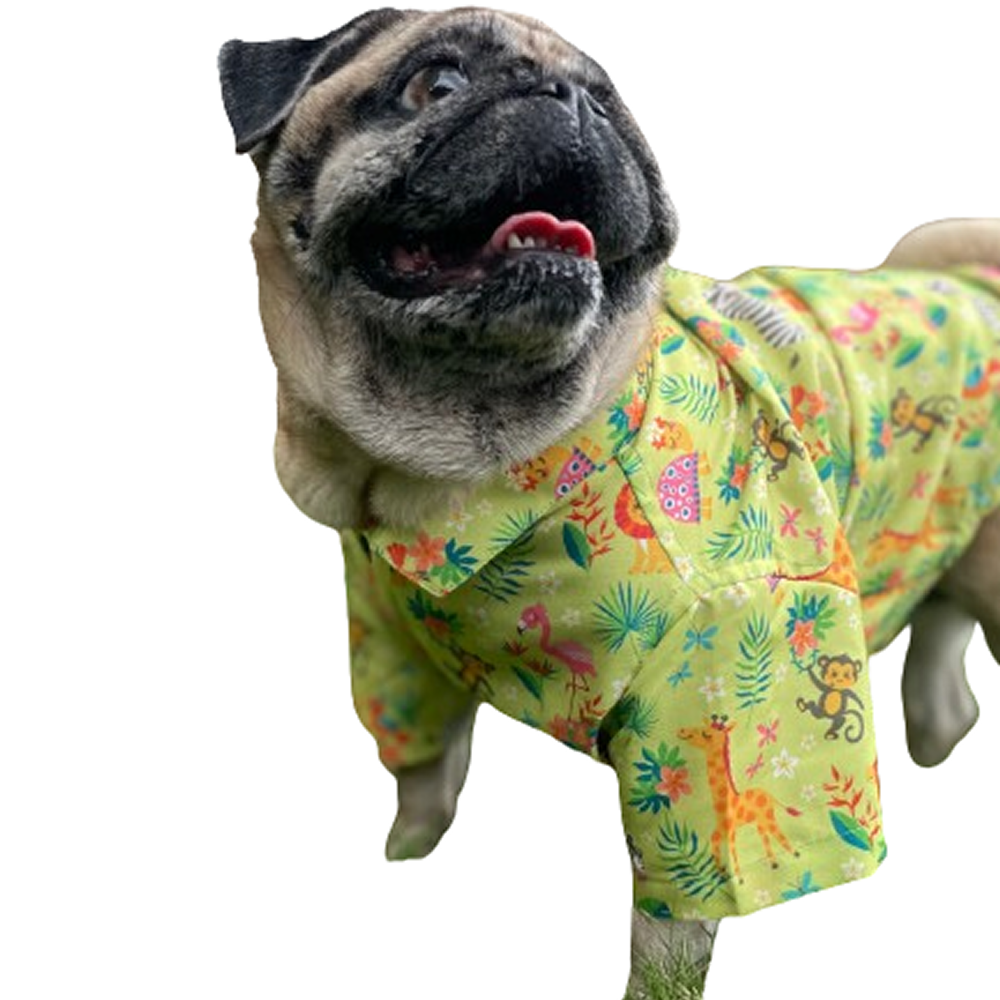 15buttons Madagascar Shirt for Dogs image 4