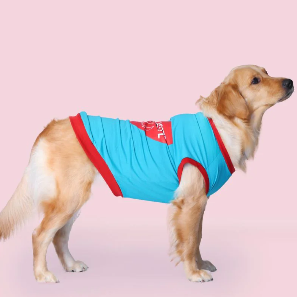Pet Set Go Favourite Child Tshirt for Dogs (Blue) image 2