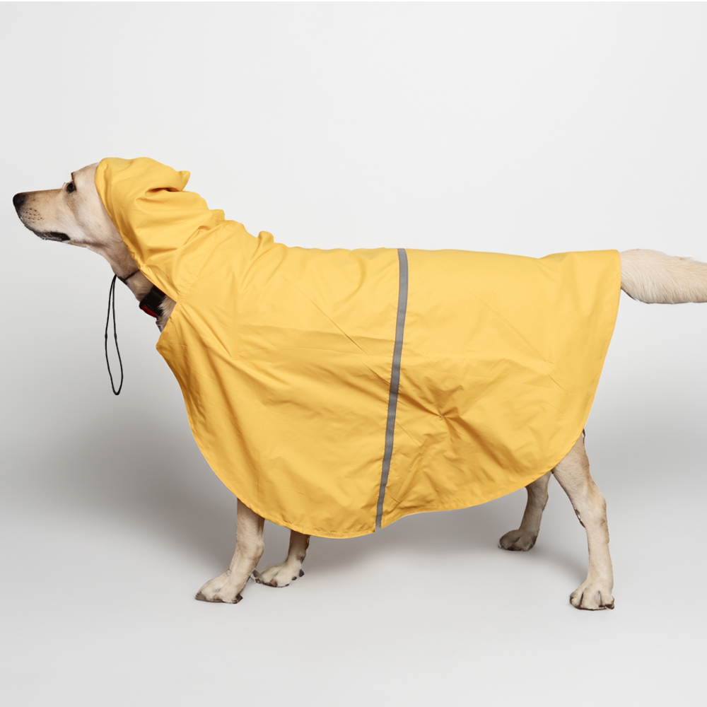 Skatrs Full Coverage Cape Style Raincoat for Dogs and Cats (Yellow) image 3