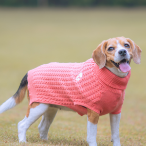 Pet Set Go Cable Knit Sweater for Dogs (Peach)