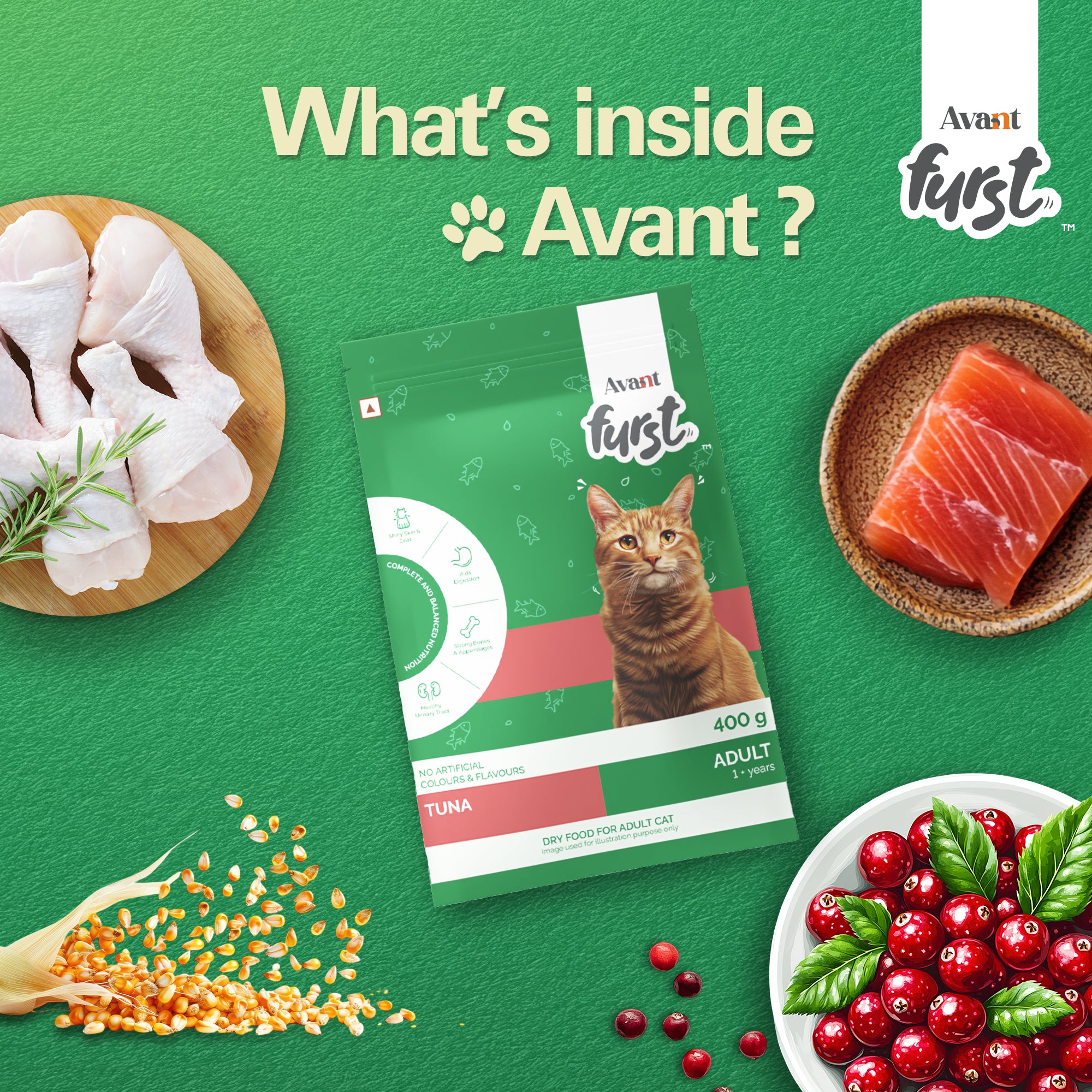 Avant Furst Tuna Fish Flavour Adult Cat Dry Food image 6
