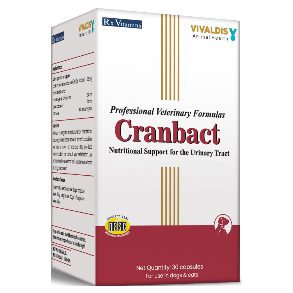 Vivaldis Cranbact Capsules for Dogs and Cats (pack of 30 capsules) image 3