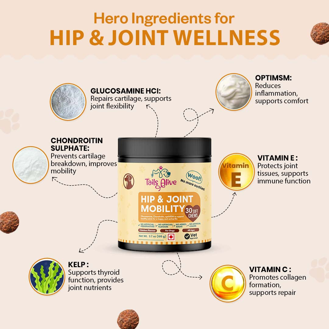 TailsAlive Hip & Joint Chicken Flavor Soft Chews Supplements for Dogs image 5