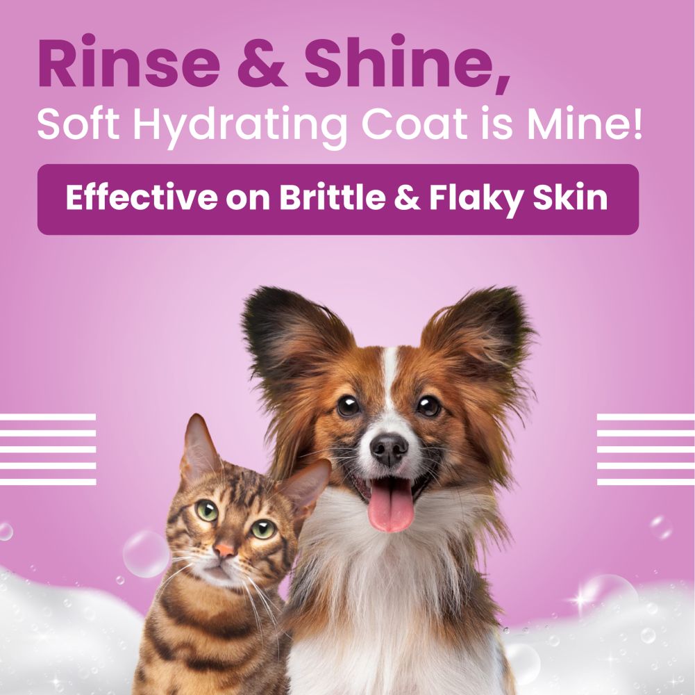 Bark Out Loud Allergy and Itch Relief Shampoo for Dogs and Cats image 3