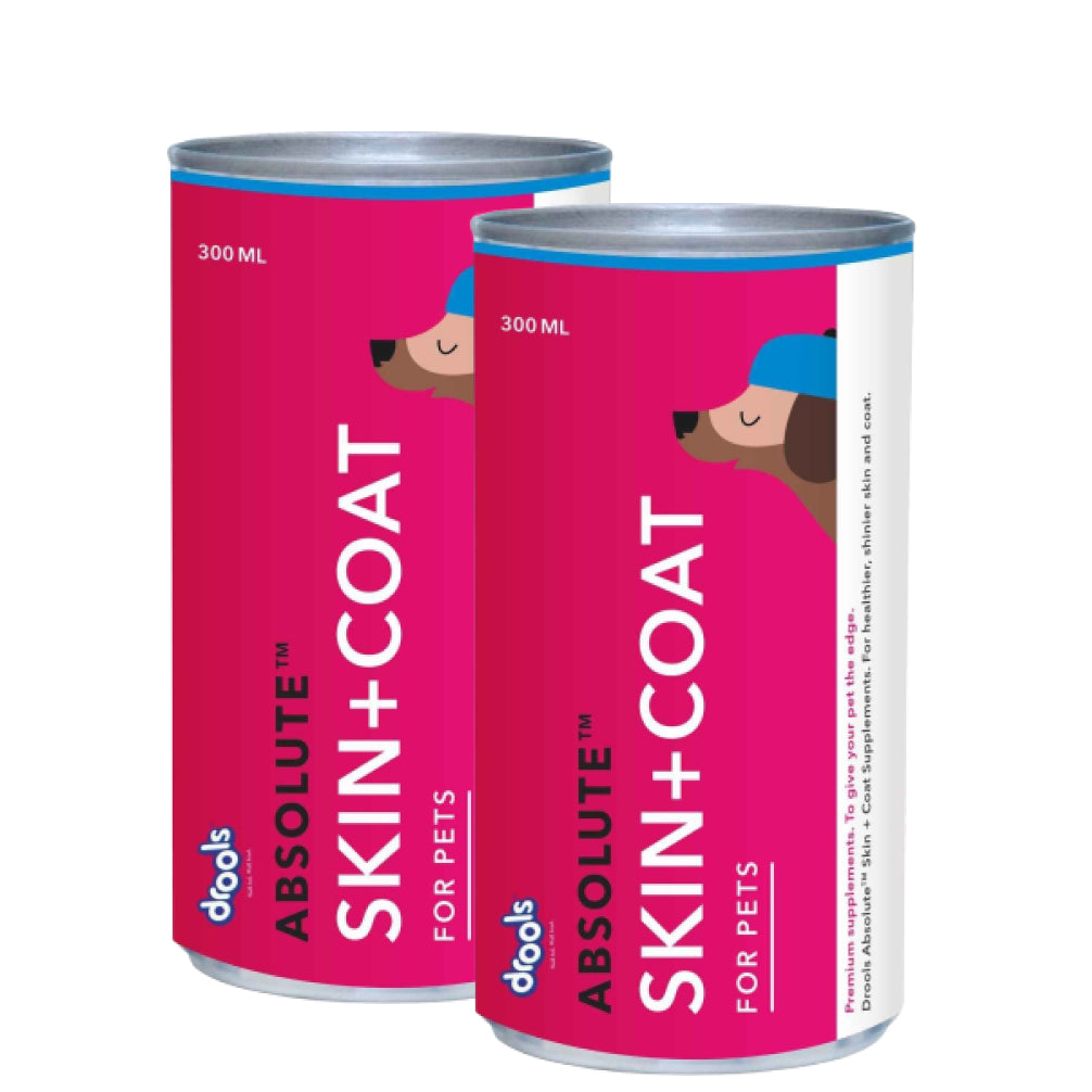 Drools Absolute Skin & Coat Syrup Supplement for Dogs image 6