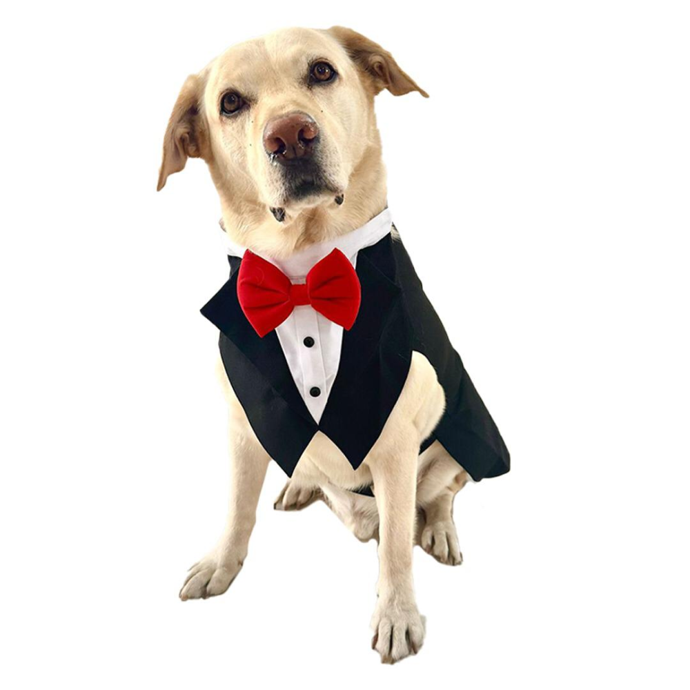 Dogobow Tuxedo Suit for Dogs and Cats (Black) (Get a Bow Free) image 4