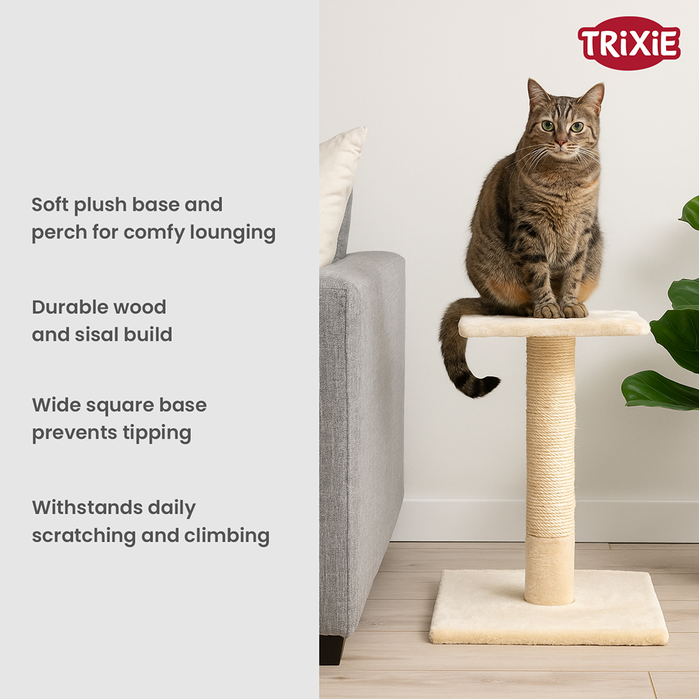 Trixie Baena scratching post for Cats (Beige) image 2