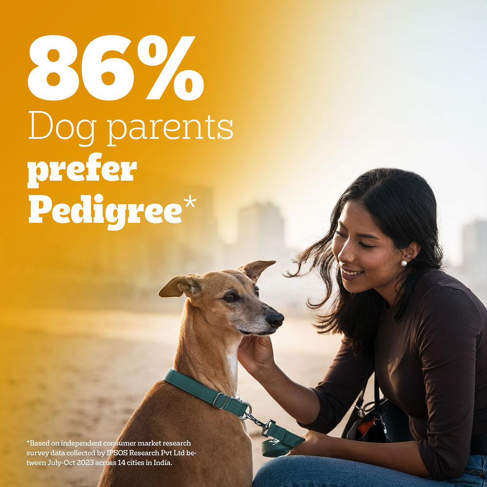 Pedigree Chicken and Vegetables Adult Dog Dry Food image 9