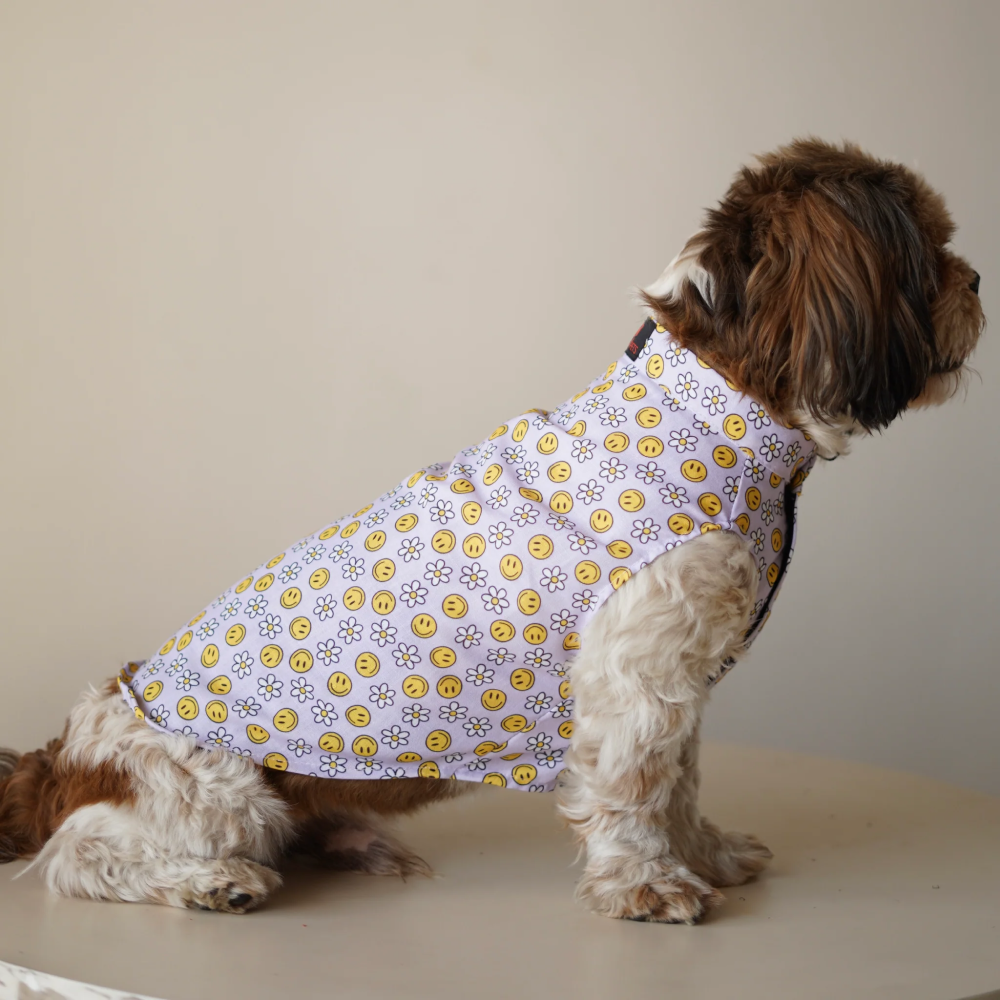 Pawgypets Smiley o clock sando for Dogs (Lavender) image 2