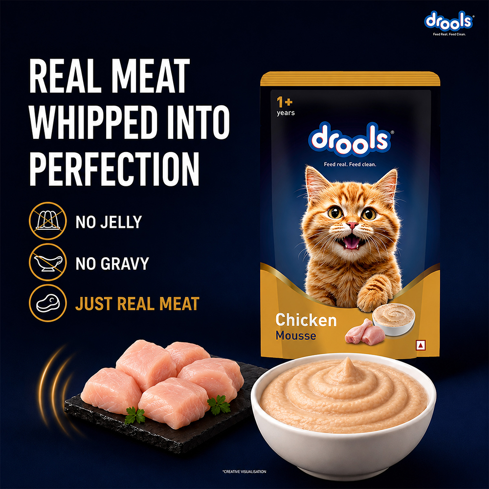 Drools Chicken Mousse Adult Cat Wet Food image 5