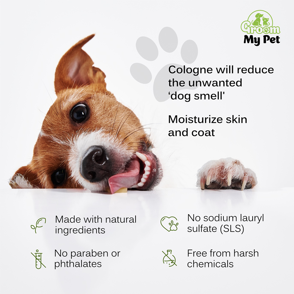 Groom My Pet Lemongrass & Pine Pampered Pooch Cologne for Dogs image 4