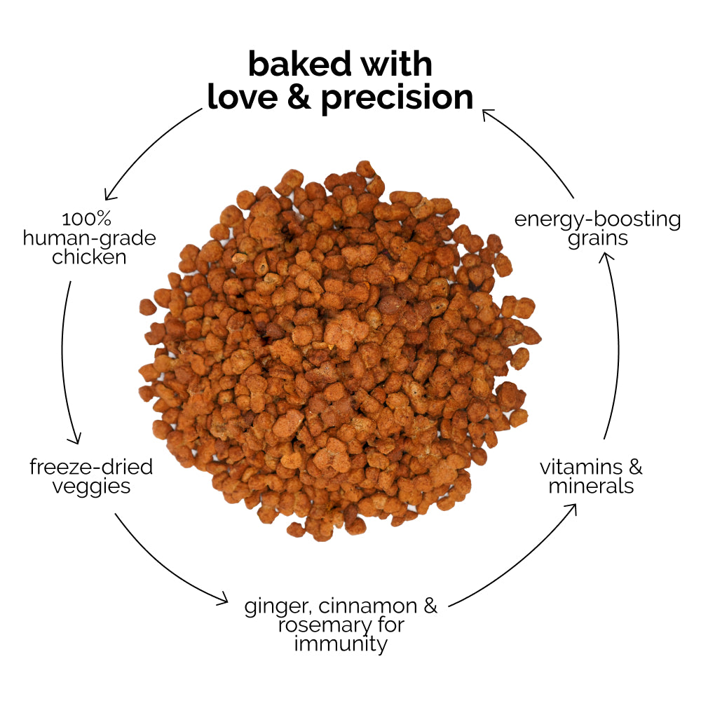 Henlo Chicken and Egg Baked Dry Food for Adult Dogs & Puppies | 100% Human Grade Ingredients image 5