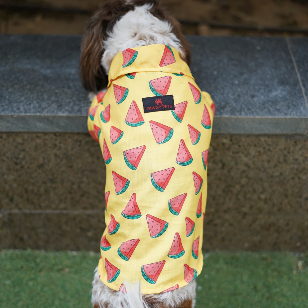 Pawgypets Watermelon Sugar Shirt for Dogs (Yellow) image 2