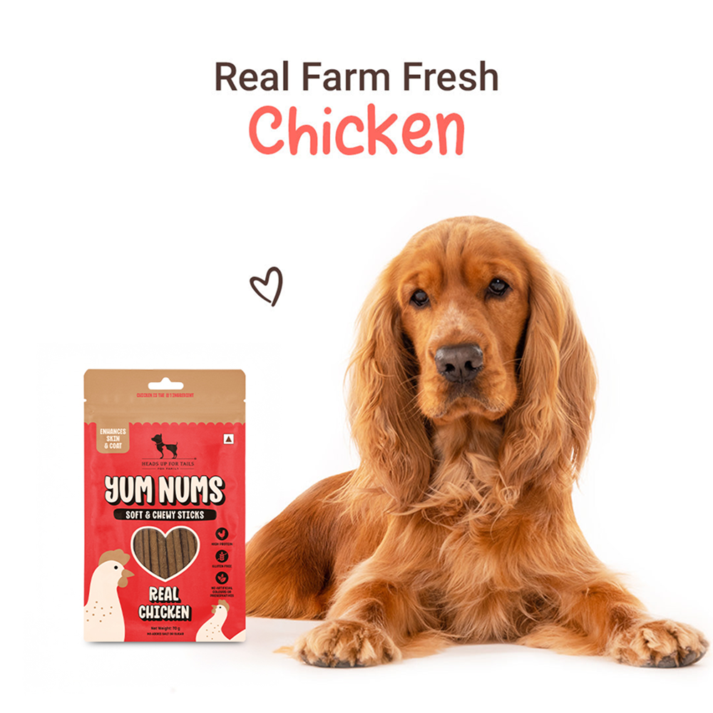 HUFT Yum Nums Real Chicken Soft & Chewy Sticks Dog Treats image 5