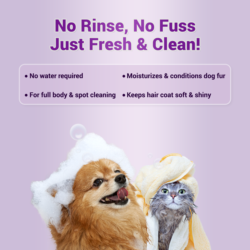 Natural Remedies Fresh Me Up Waterless Dry Shampoo for Dogs and Cats image 2