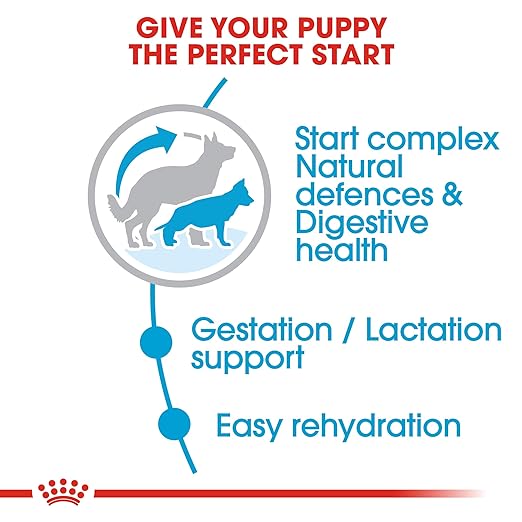 Royal Canin Maxi Starter, Mother & Babydog Dry Food image 4