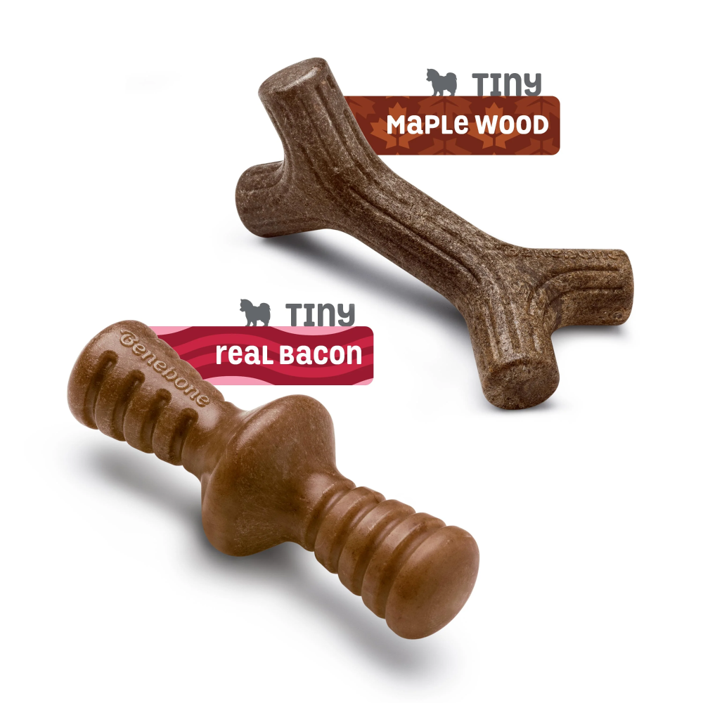 Benebone Bacon Flavored Maplestick and Zaggler Chew Toys for Dogs image 4