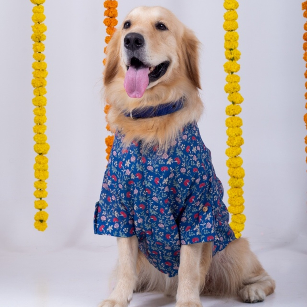 15 Furries Bageecha Kurta for Dogs image 1