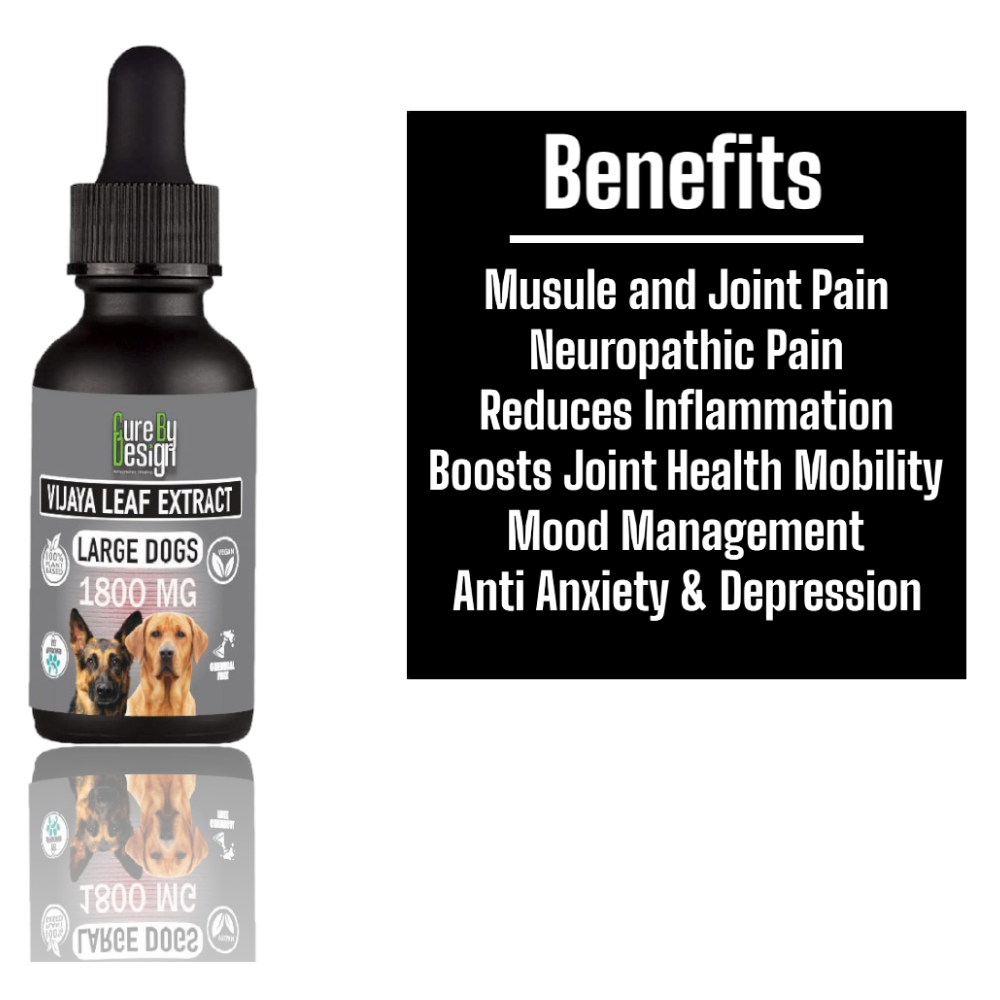 Cure By Design 1800mg Vijaya Leaf Extracts for Dogs and Cats image 4
