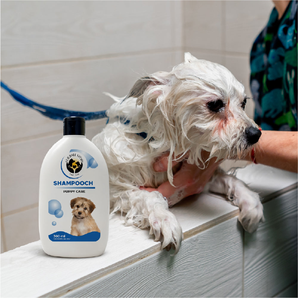 FurBall Story Shampooch Puppy Care Shampoo for Puppies image 8
