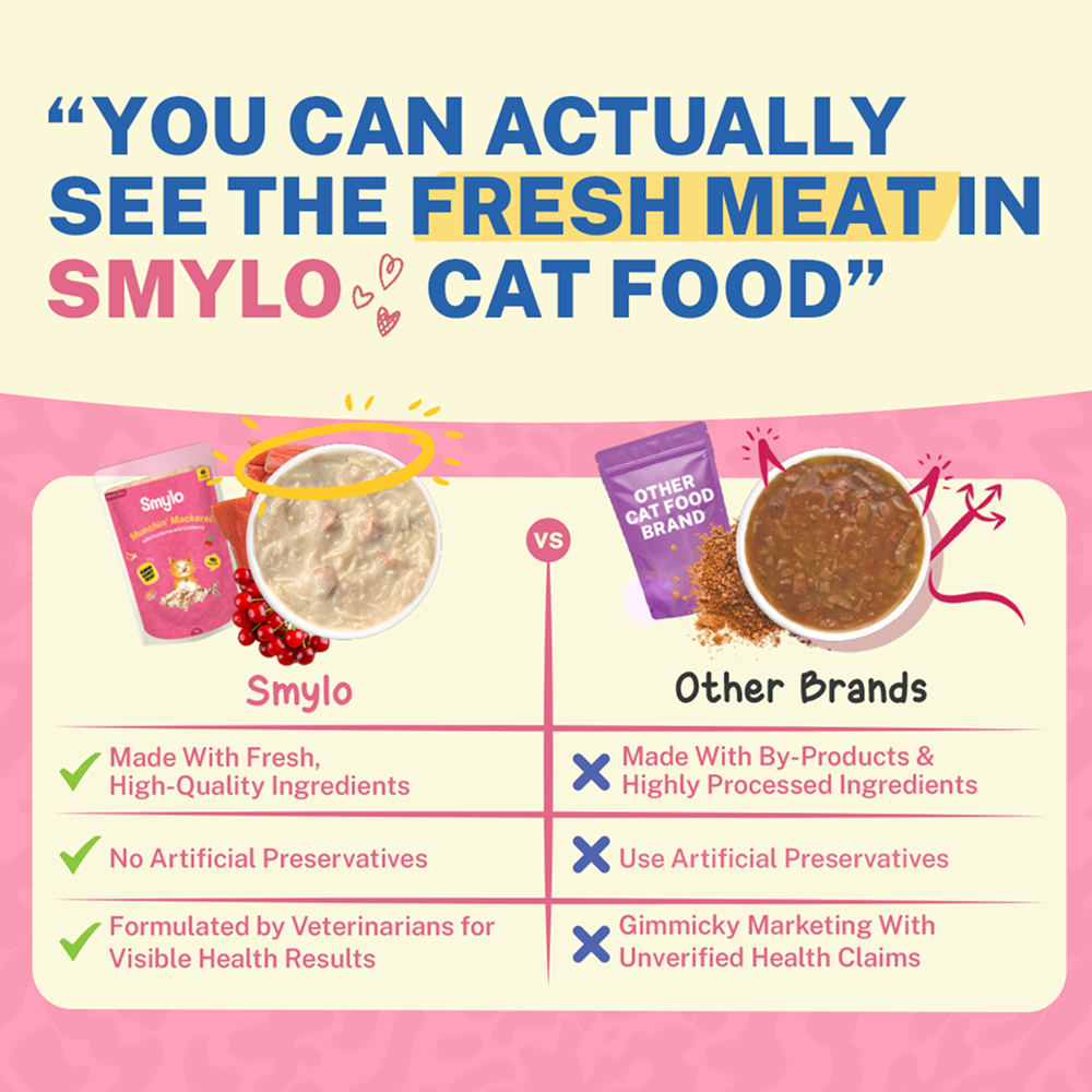 Smylo Adult Mackerel Kanikama & Cranberry, Fresh & No-Preservative Wet Cat Food image 4