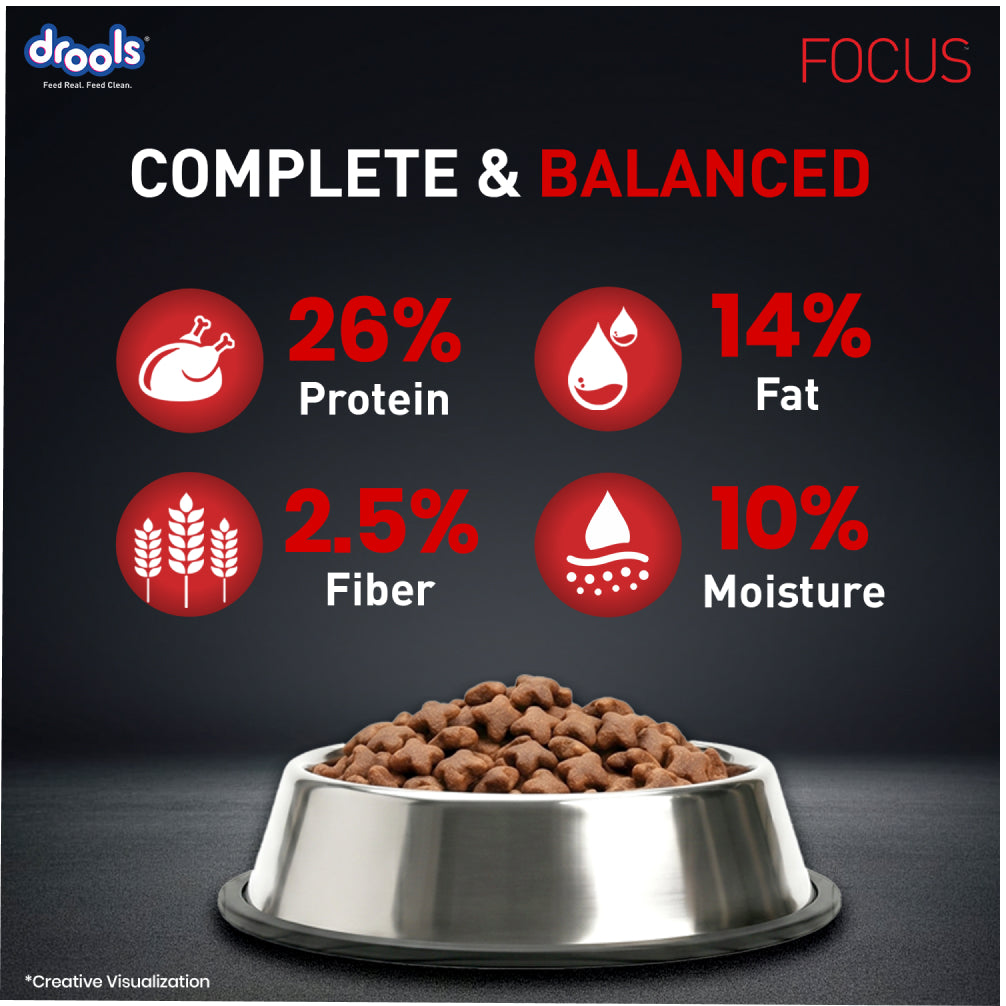 Drools Focus Super Premium Adult Dog Dry Food | Corn & Wheat Free Formula image 10