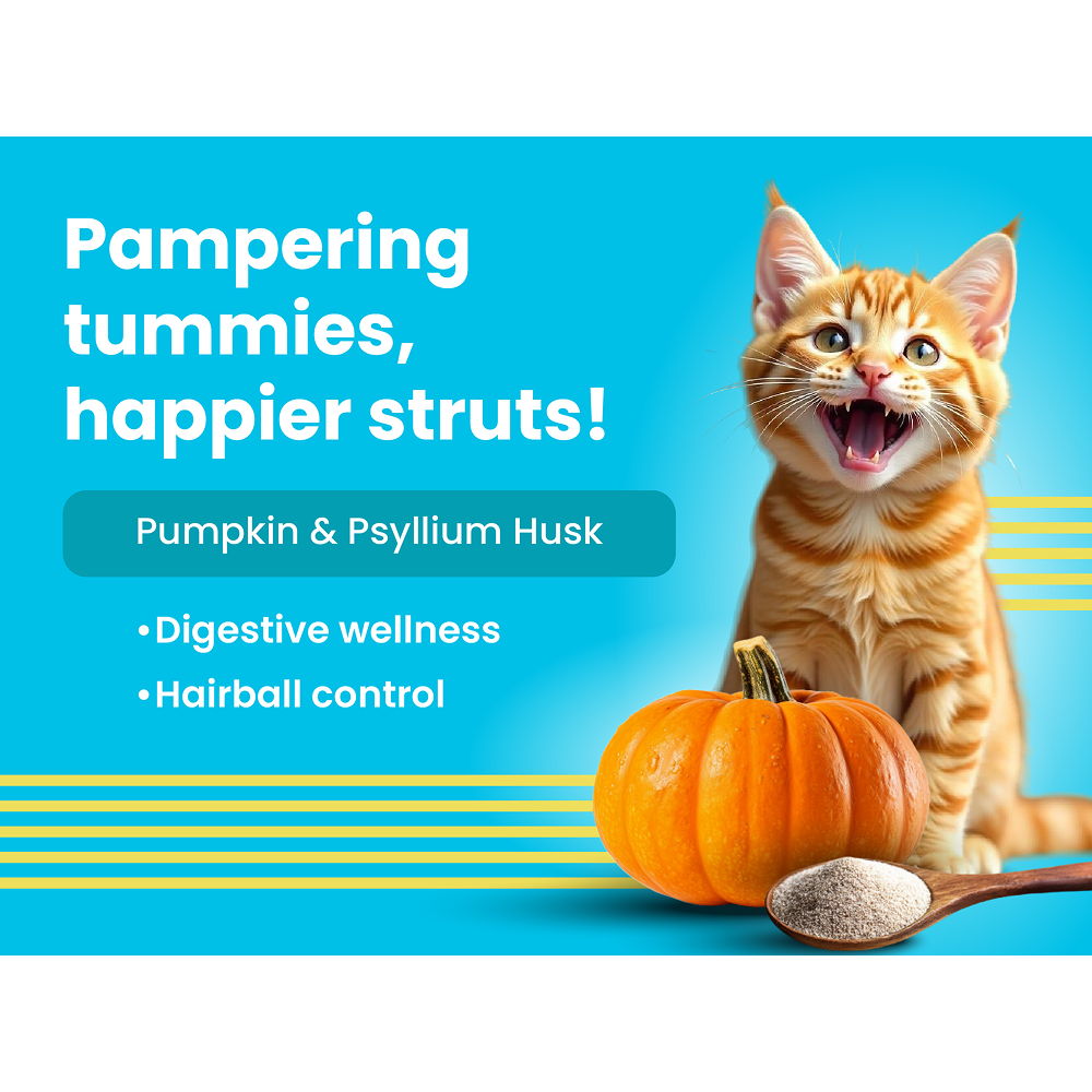 Bark Out Loud Mackerel & Duck Chunks Gravy Adult Cat Wet Food image 4