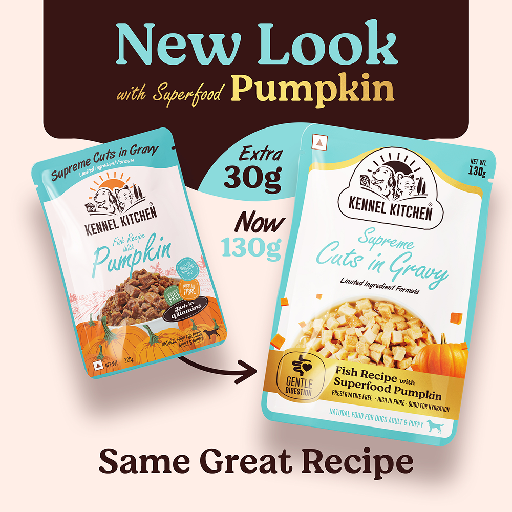 Kennel Kitchen Supreme Cuts in Gravy Fish Recipe with Pumpkin Puppy & Adult Dog Wet Food (All Life Stage) image 6