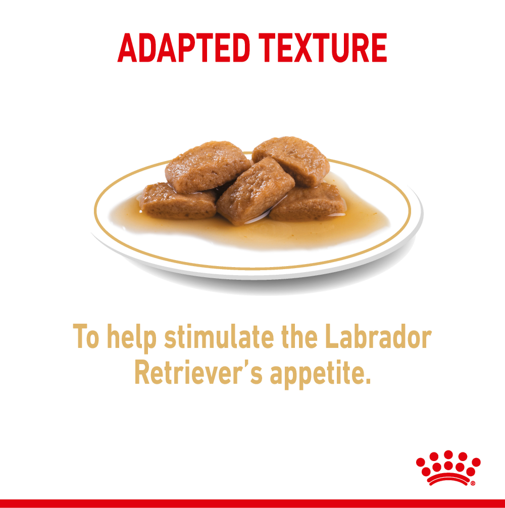 Royal Canin Chunks In Gravy Labrador Retriever Adult Dog Wet Food image 5