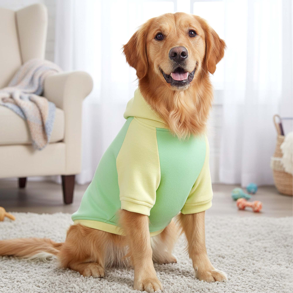 Pets Way Icy Peak Winter Sweatshirt for Dogs (Mint)