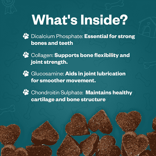 TailsAlive Calcium Chicken Flavor Soft Chews Supplements for Dogs image 5