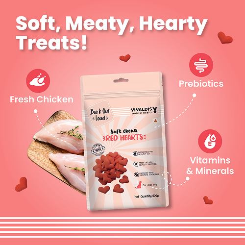 Bark Out Loud Valentine's Special Red Heart Dog Treat image 2