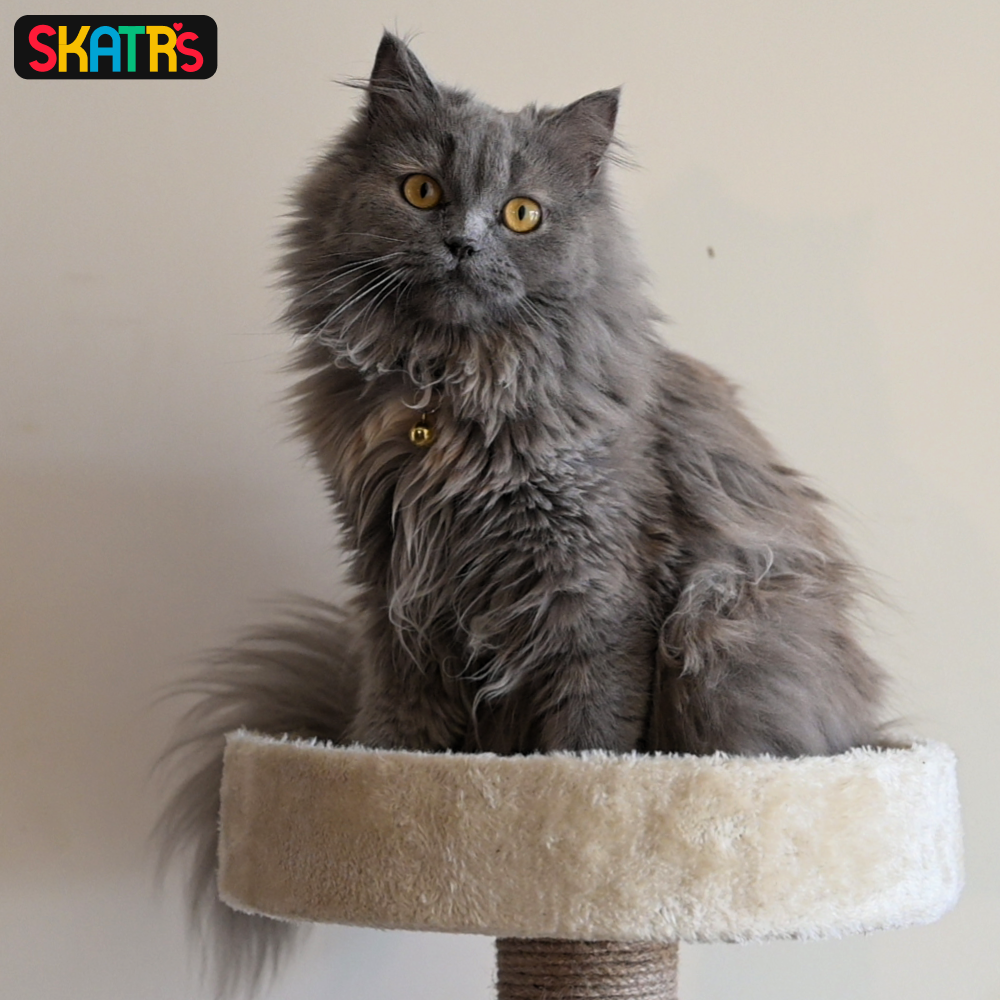 Skatrs Scratchy Wonderland Jumbo Multi Level Cat Tree with Sisal Posts Toy (Beige) image 5
