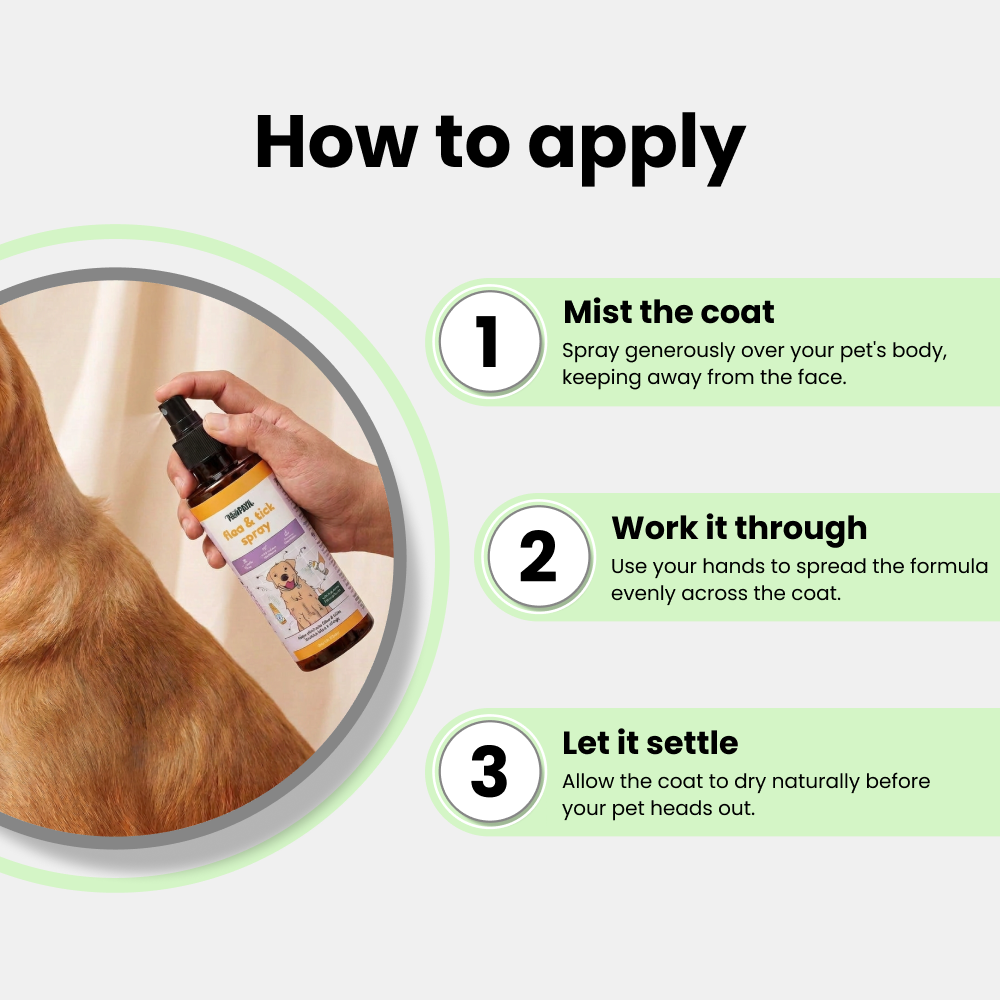 Pawpaya  Flea and Tick Spray for Dogs and Cats image 7