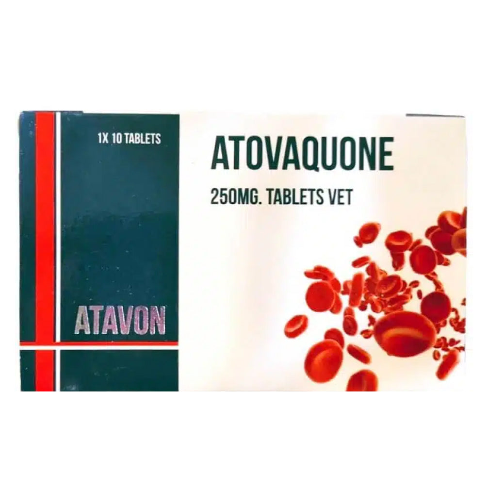 Sihil Atavon 250mg Tablets (Atovaquone) for Dogs and Cats