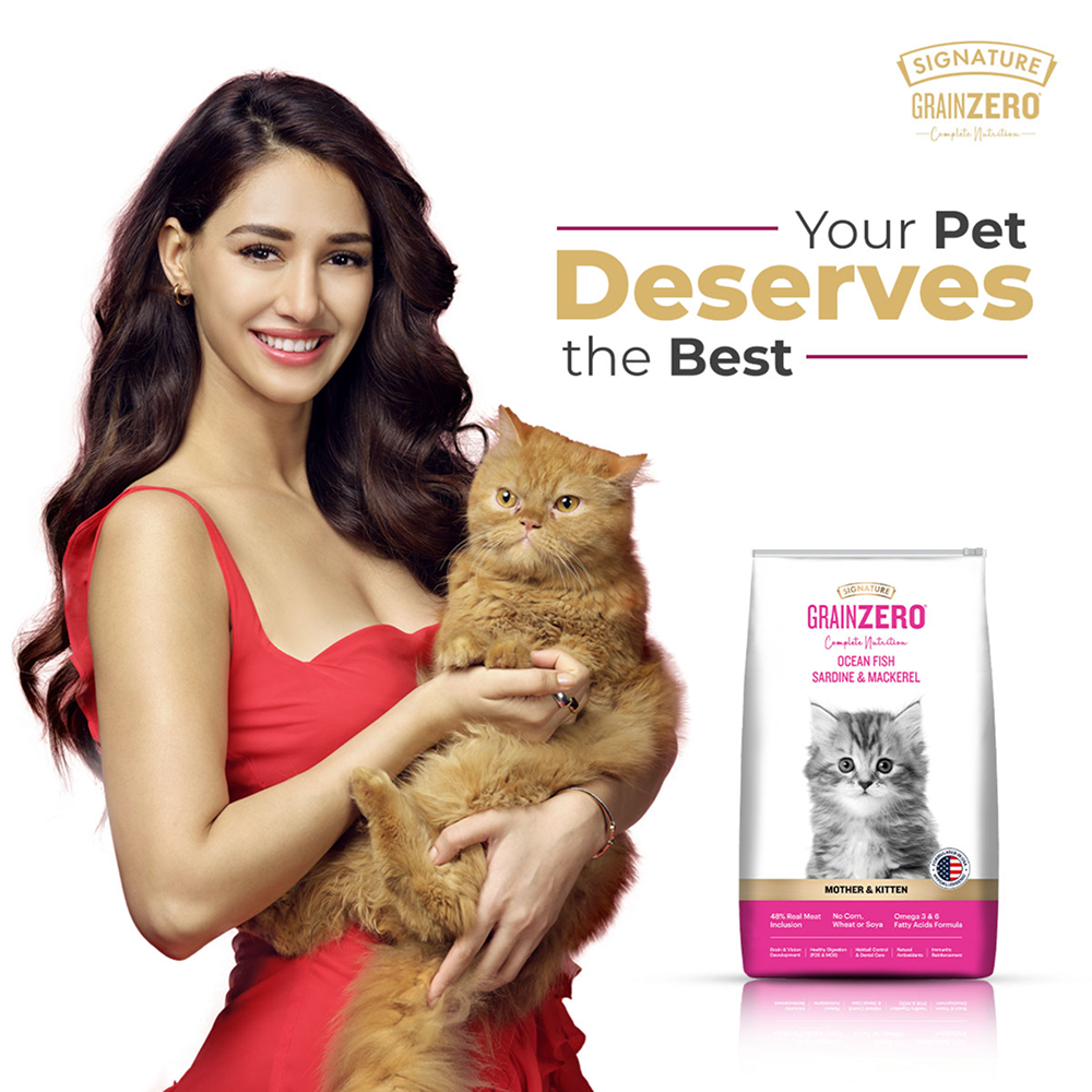Signature Grain Zero Ocean Fish, Sardine and Mackerel Mother and Kitten Cat Dry Food image 2
