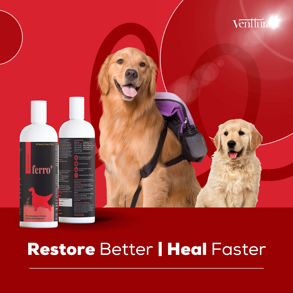 Venttura Ferro Plus Iron Supplements Syrup for Dogs image 7