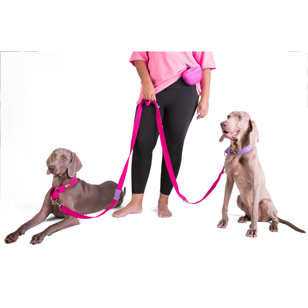 Let's Wag Multi Purpose Leash for Dogs (Pink) image 4