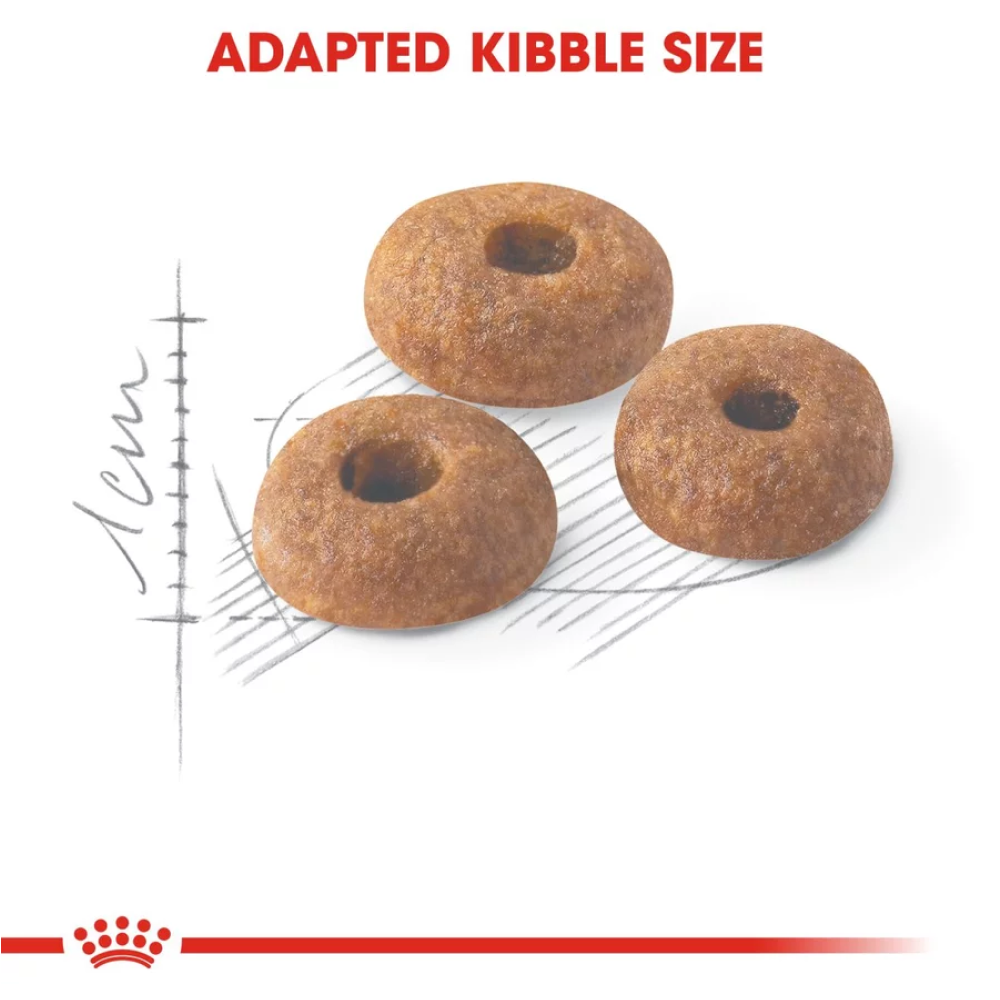 Royal Canin Fit 32 Regular for Adult Cat Dry Food image 4