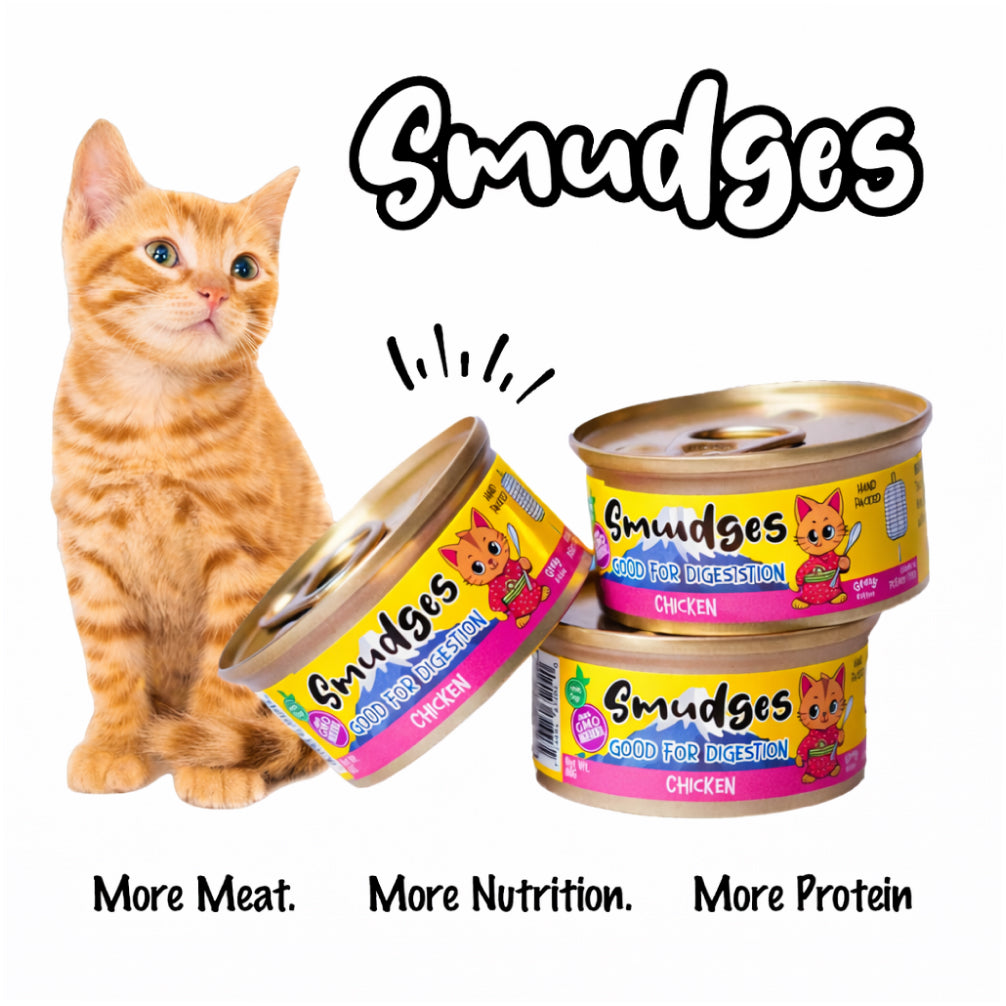 Smudges Chicken Shredded in Gravy Kitten Wet Food image 7