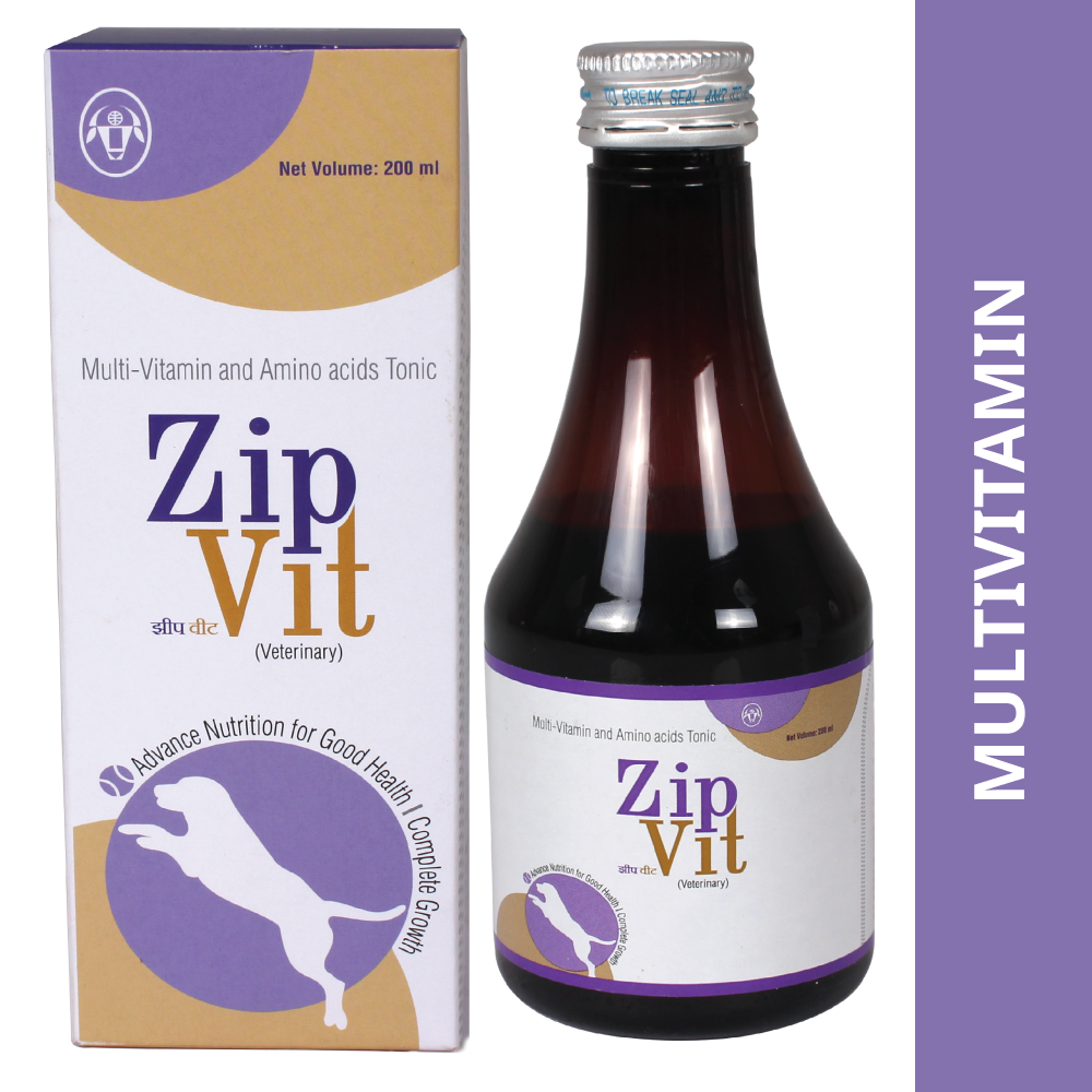 Intas Zipvit Multi Vitamin Supplement for Dogs and Cats  (200ml) image 2
