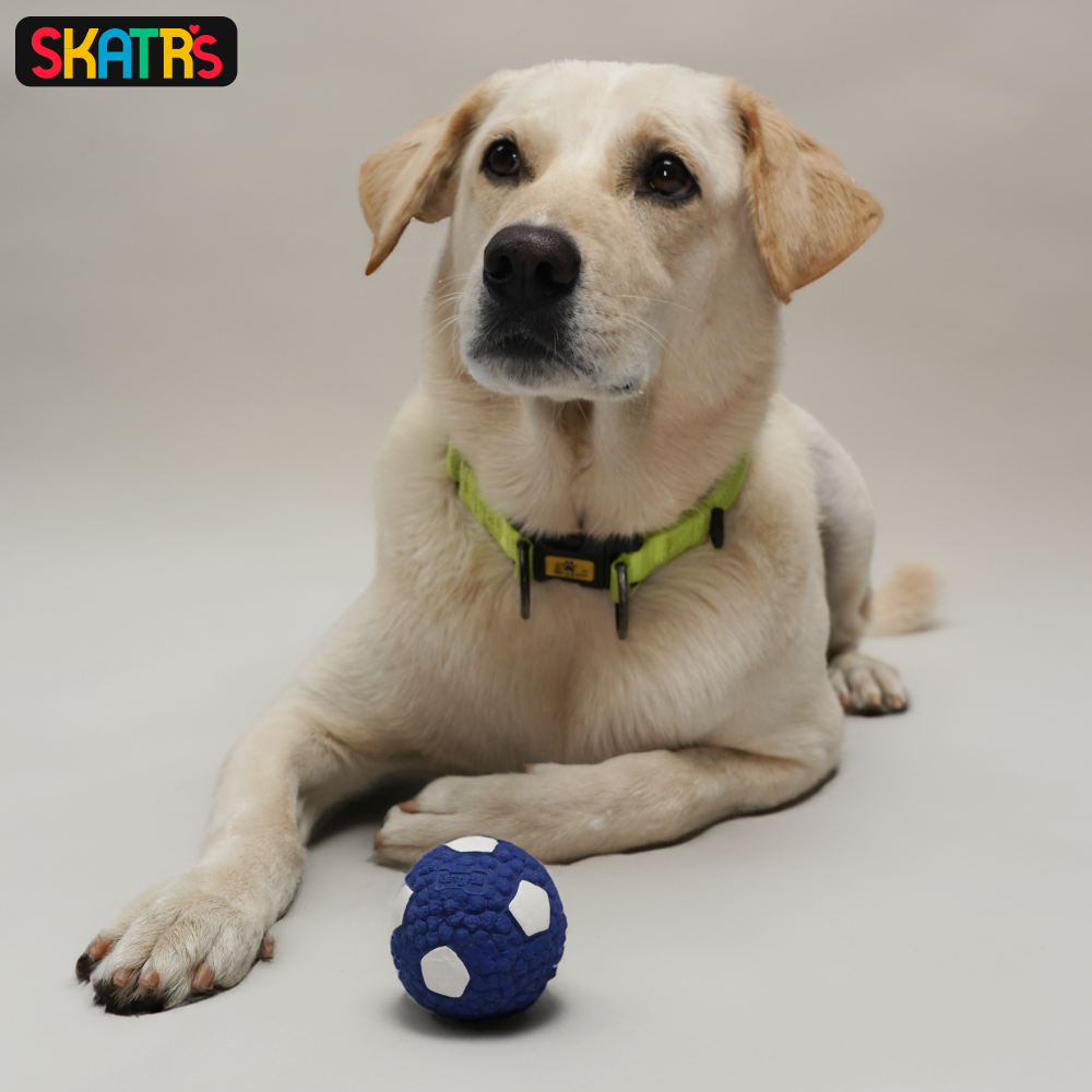 Skatrs Latex Football Toy for Dogs and Cats (Blue & White) image 2