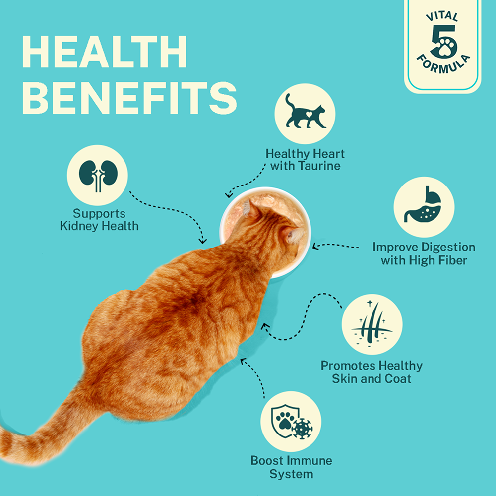 Smylo Kitten Tuna Salmon, Pumpkin, Fresh & No-Preservative Wet Cat Food image 8
