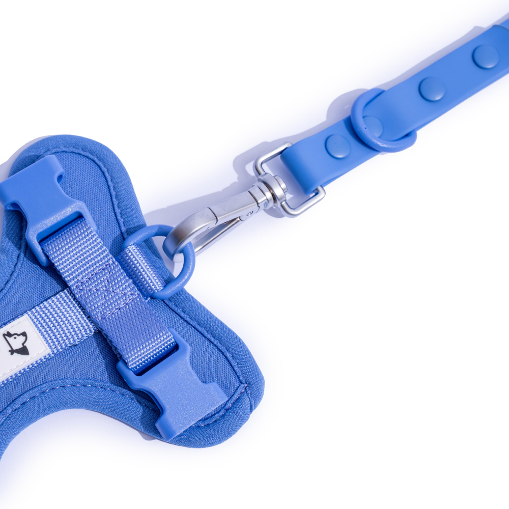 Furry & Co Weatherproof Leash for Dogs (Everest Blue) image 3