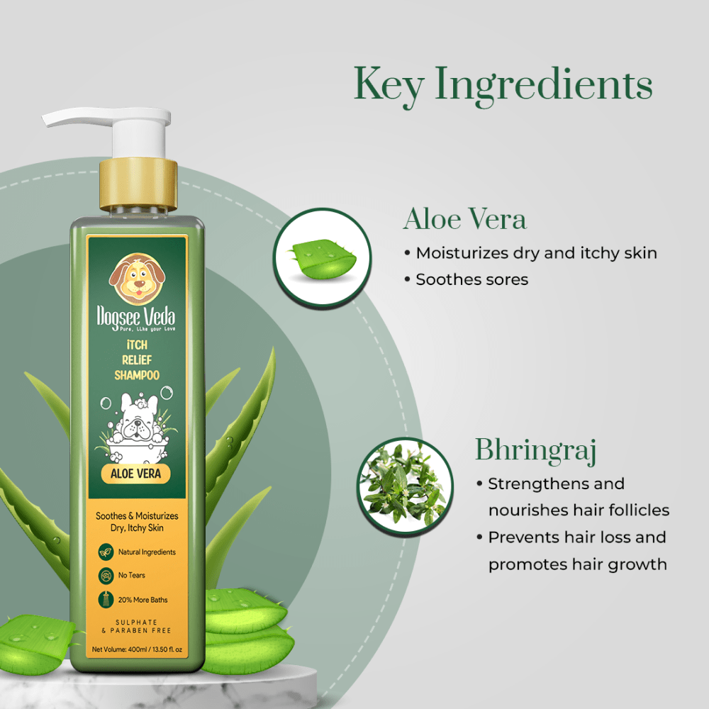 Dogsee Veda ITCH RELIEF Aloe Vera Shampoo for Dogs (200ml) image 6