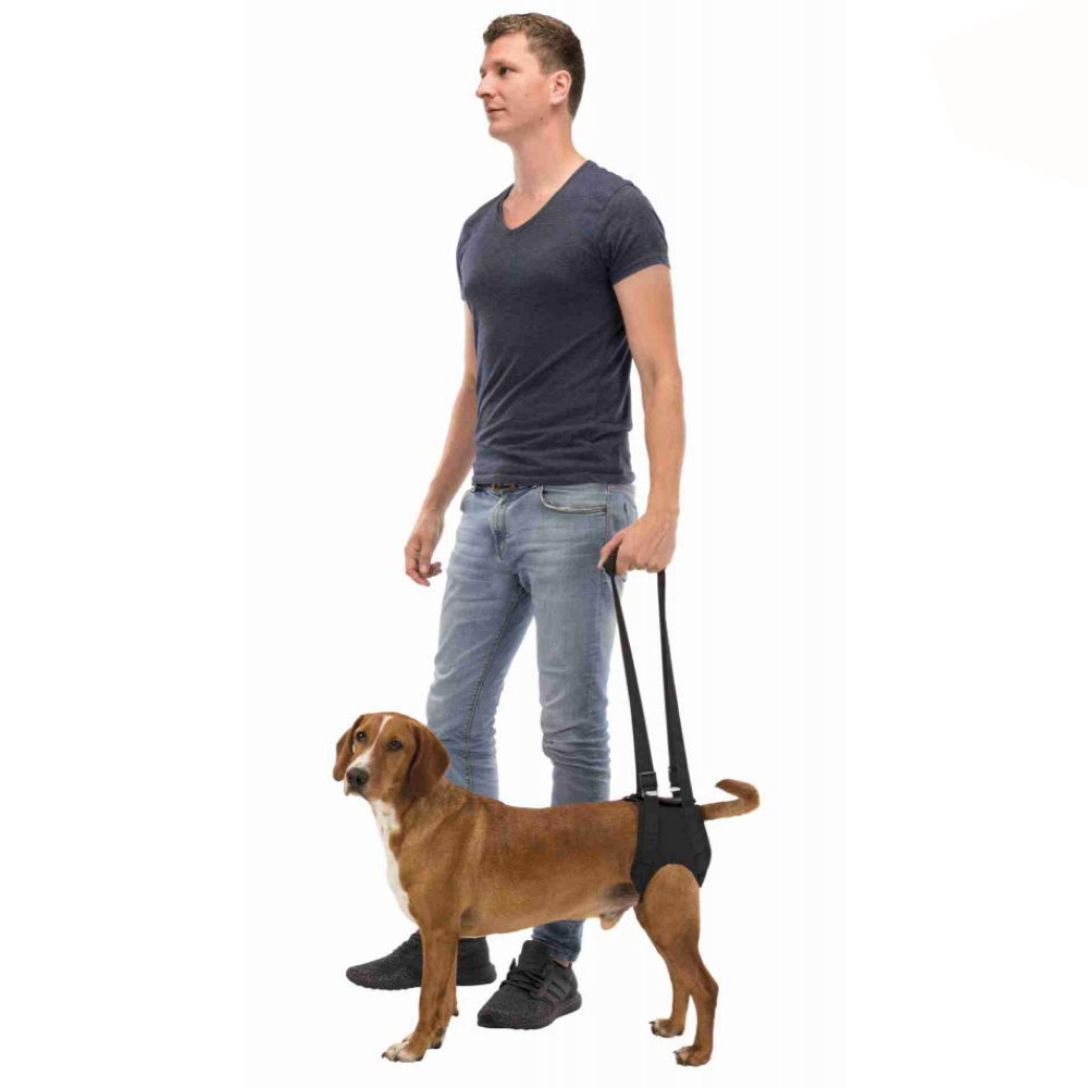 Trixie Walking Aid for Dogs image 4