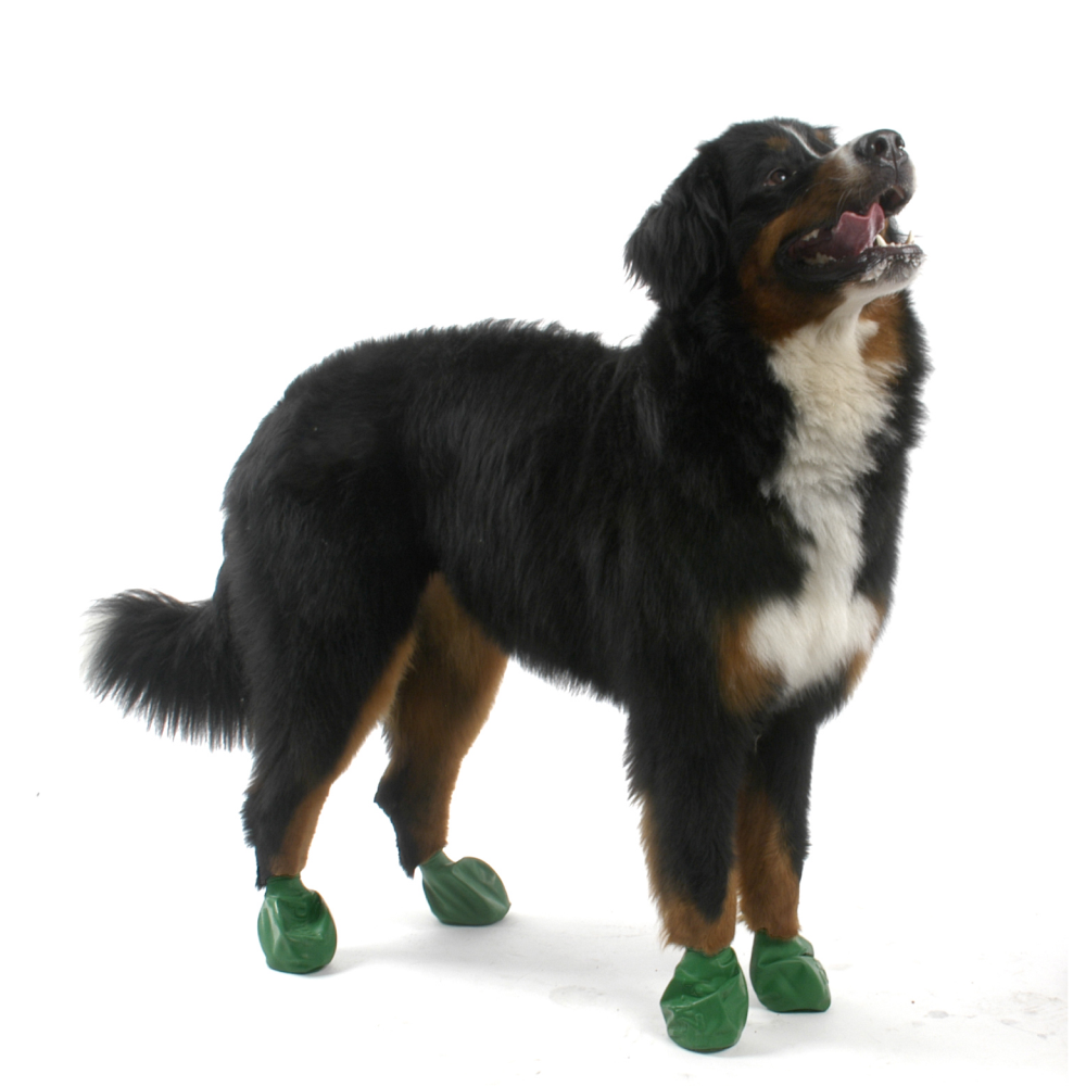 Protex PawZ Disposable and Reusable Boots for Dogs (Green) image 2